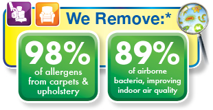 Upholstery Cleaning Study